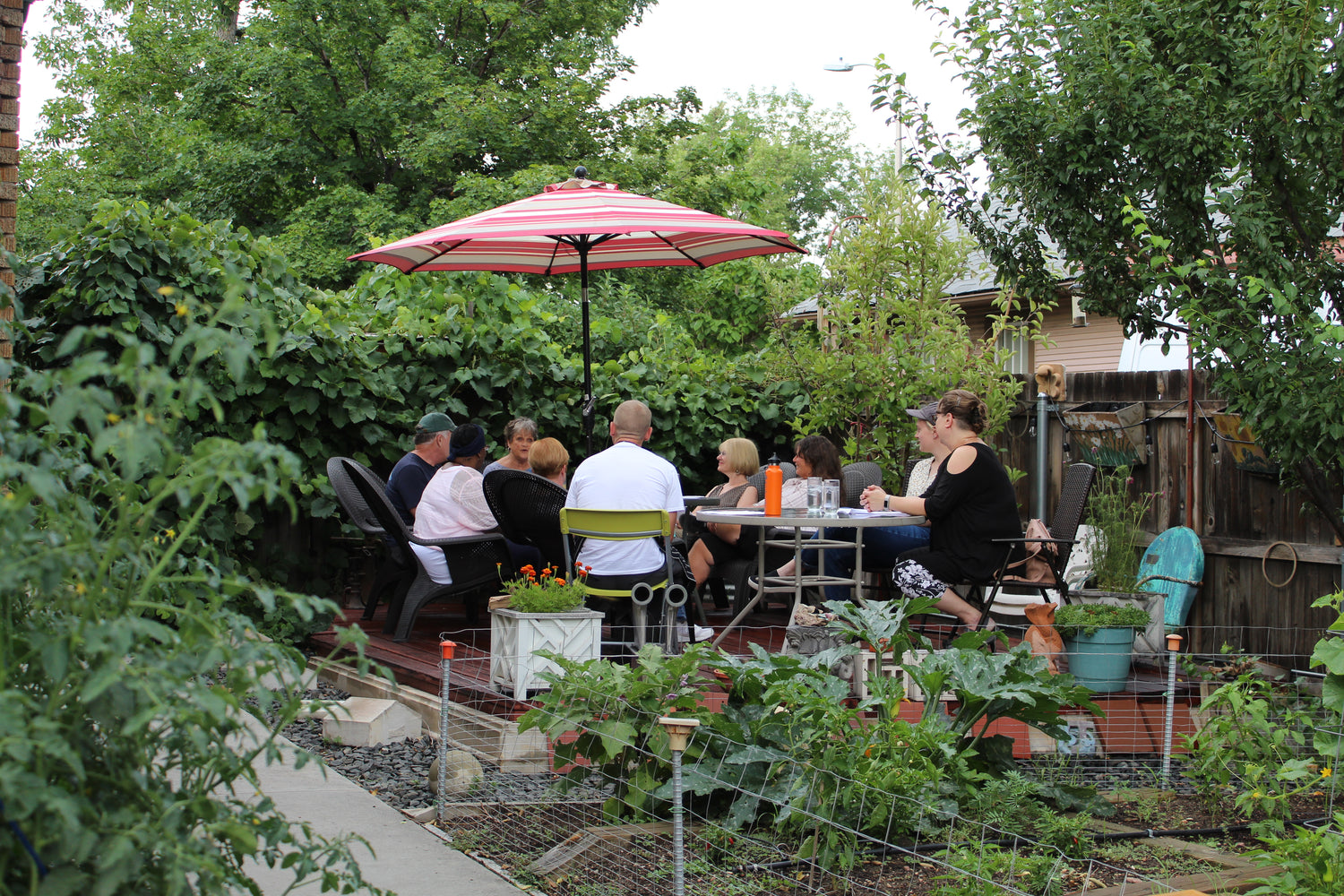 Gathering in the garden