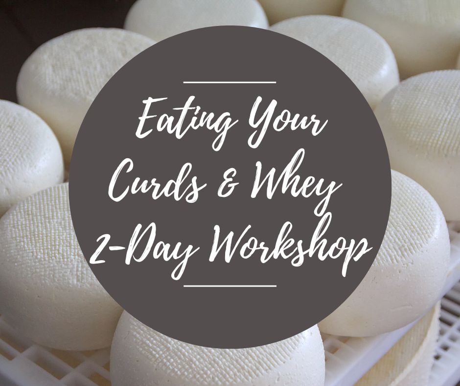 Sat, June 28 & Sun, June 29, 2pm-5:30pm: 2-Day Eating Your Curds & Whey Workshop