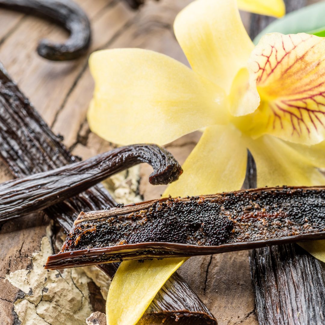 Weds, Jan 31: Know Your Ingredients: Vanilla