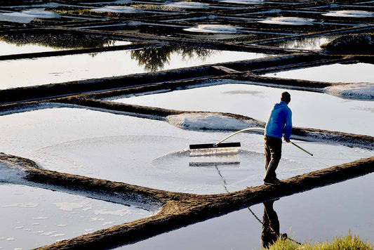 French Grey Salt, Course
