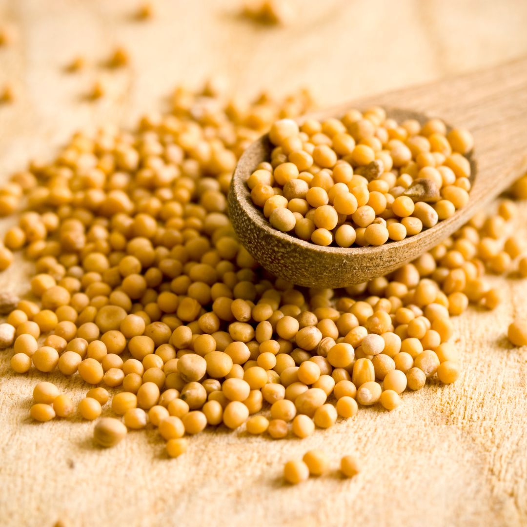 Yellow Mustard Seed
