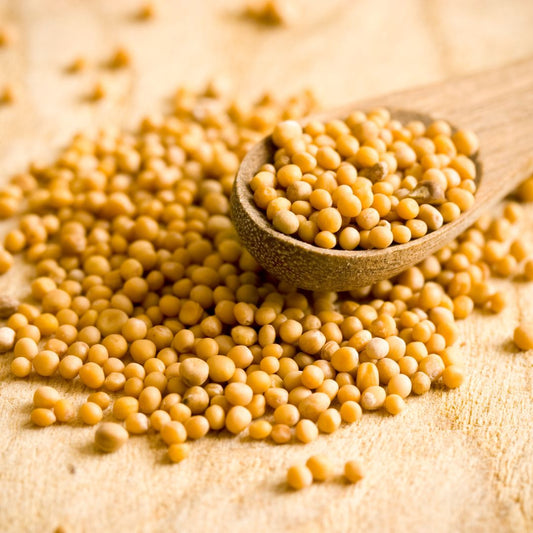 Yellow Mustard Seed