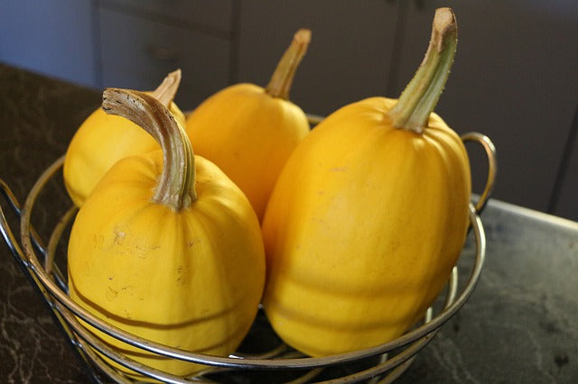 Squash The Fear! Get Cooking With Squash!!