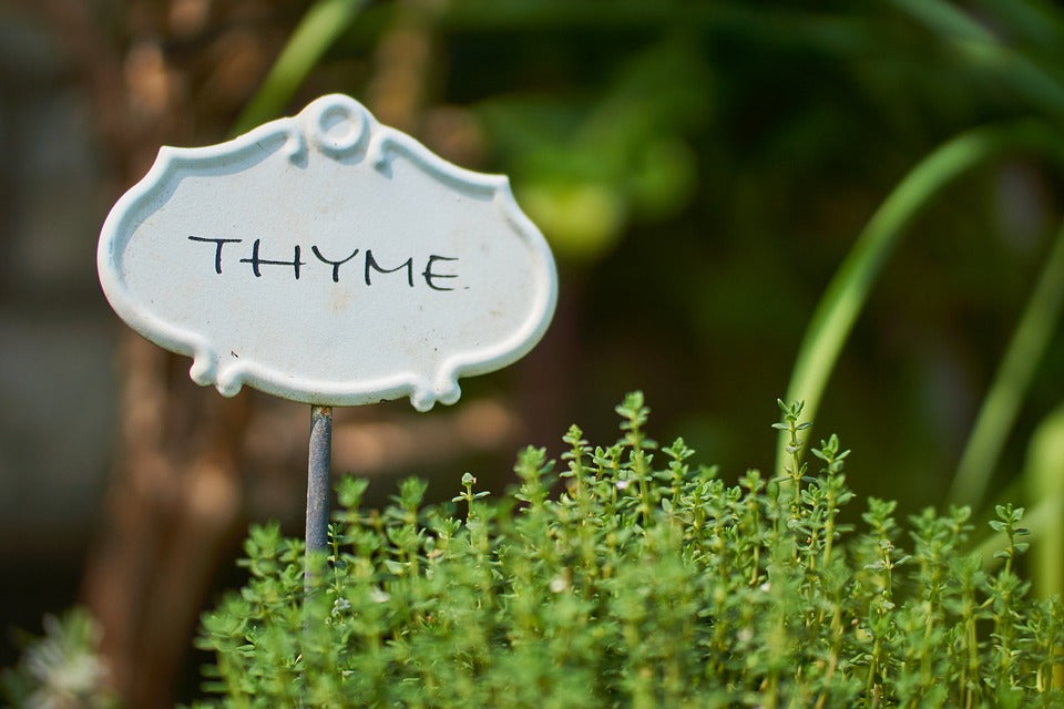 Party Thyme!