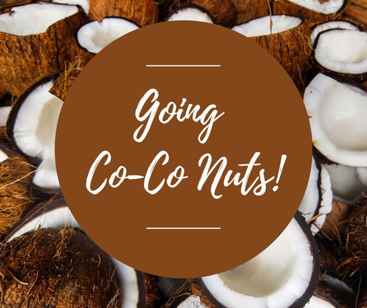 Thurs, Jan 23: Going Co-Co Nuts