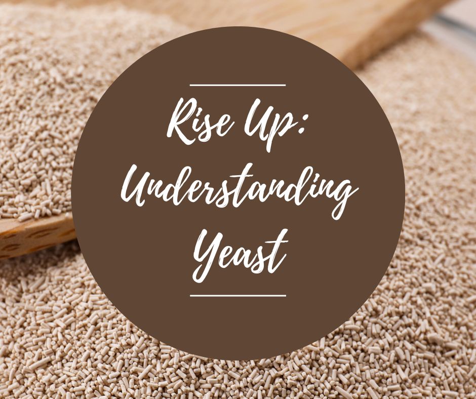 Sat, Jan 24: Rise Up: Understanding Yeast, 1-5:30pm