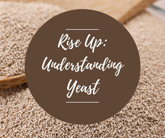 Sat, Jan 24: Rise Up: Understanding Yeast, 1-5:30pm