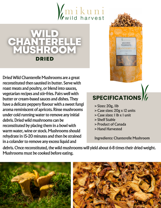 Dried Wild Chanterelle Mushrooms, 20 g
