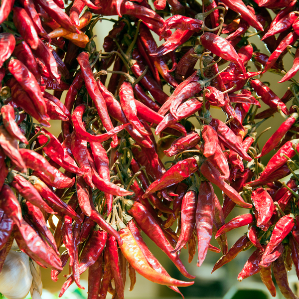 Hungarian Paprika, Sweet Gather Food Studio
